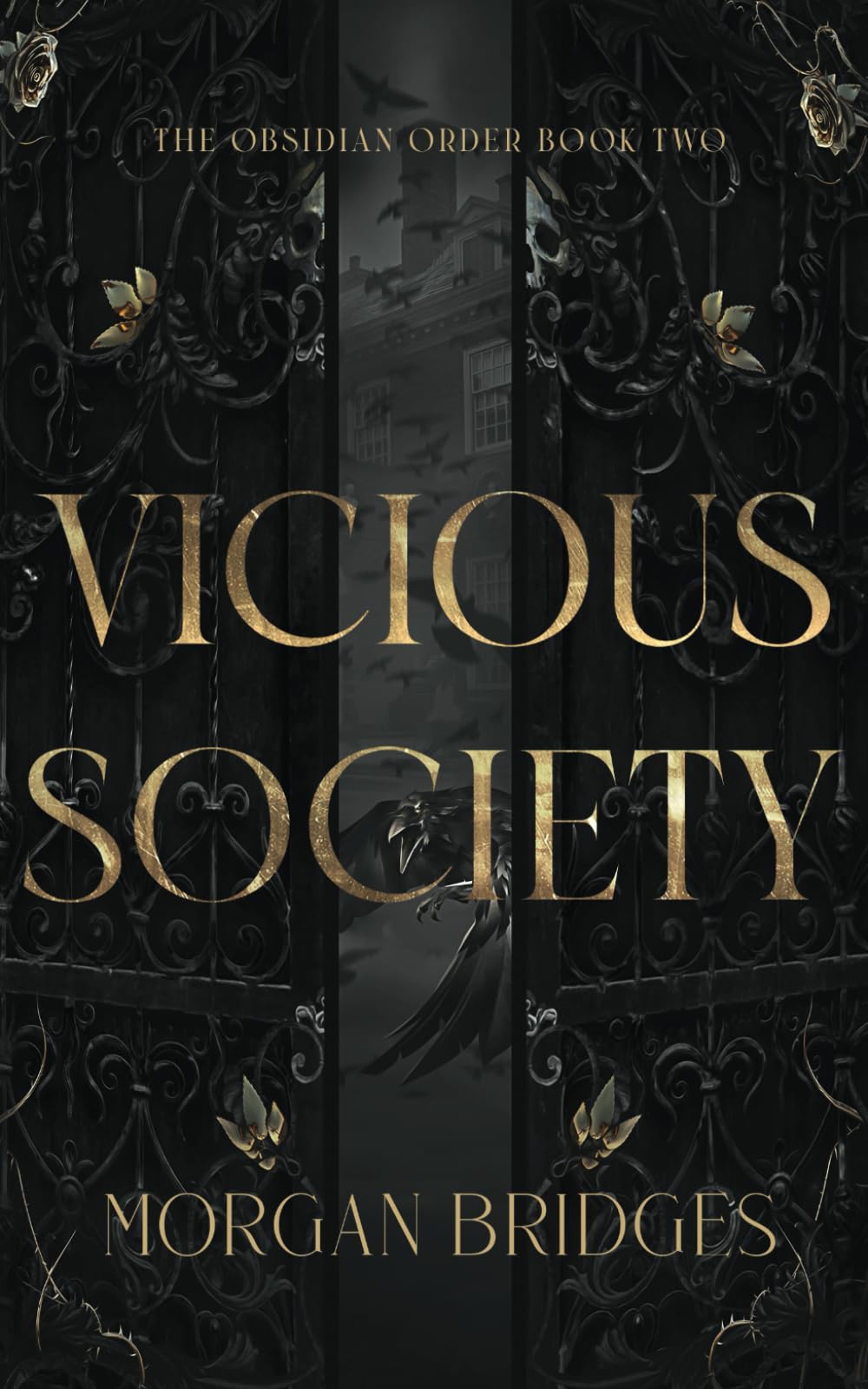 Vicious Society: A Dark Secret Society Romance (The Obsidian Order, Band 2) Horror & Mystery