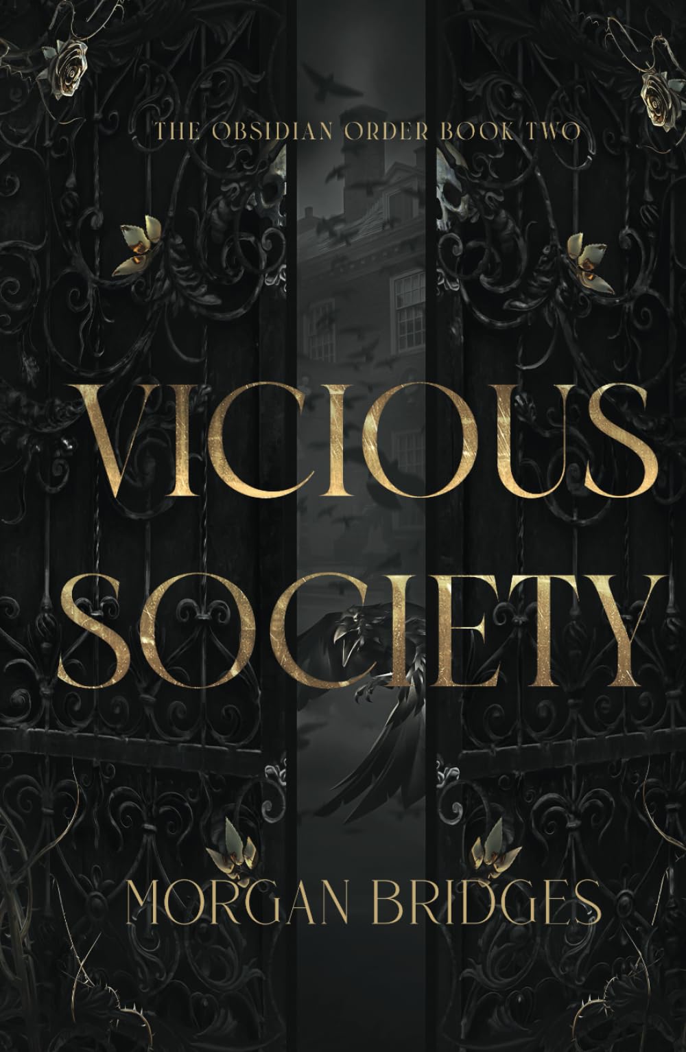Vicious Society: A Dark Secret Society Romance (The Obsidian Order, Band 2) Horror & Mystery