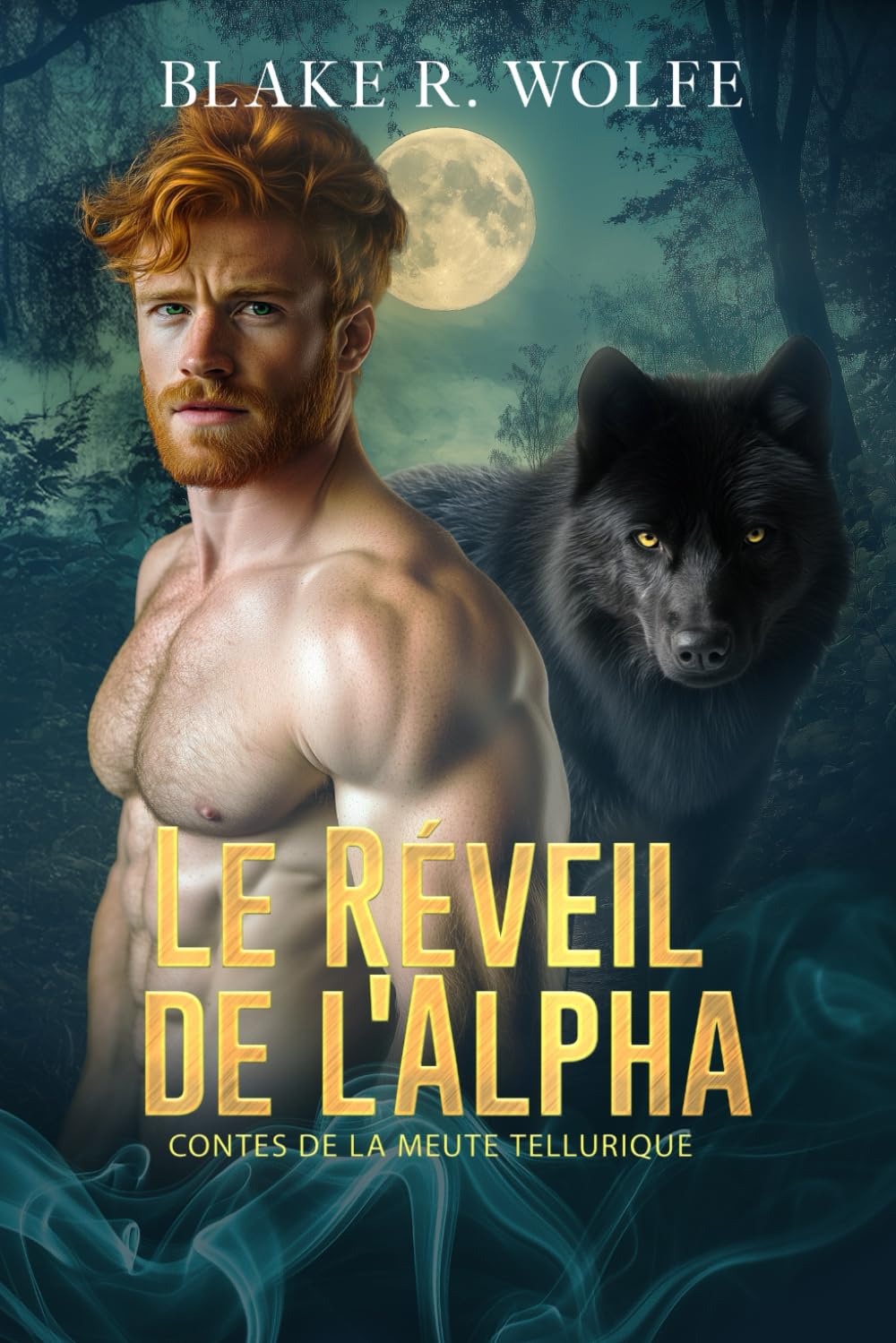 Le Réveil de l'Alpha: Romance gay de loup-garou book