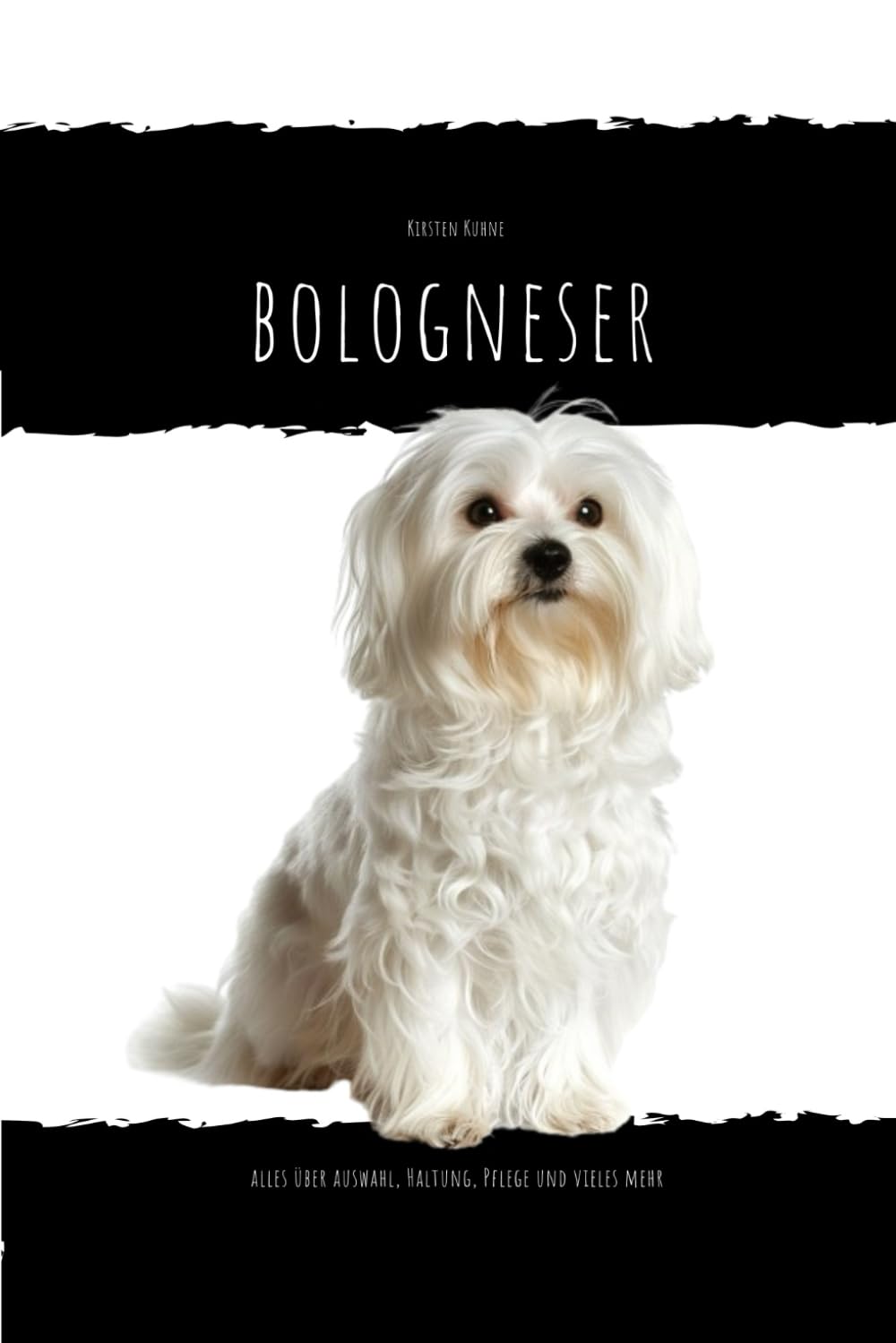 Bologneser: alles über Auswahl, Haltung, Pflege und vieles mehr... Pets