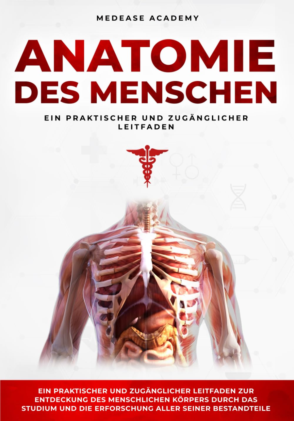Anatomie Des Menschen: Ein praktischer und zugänglicher Leitfaden zur Entdeckung des menschlichen Körpers durch das Studium und die Erforschung aller seiner Bestandteile Medicine
