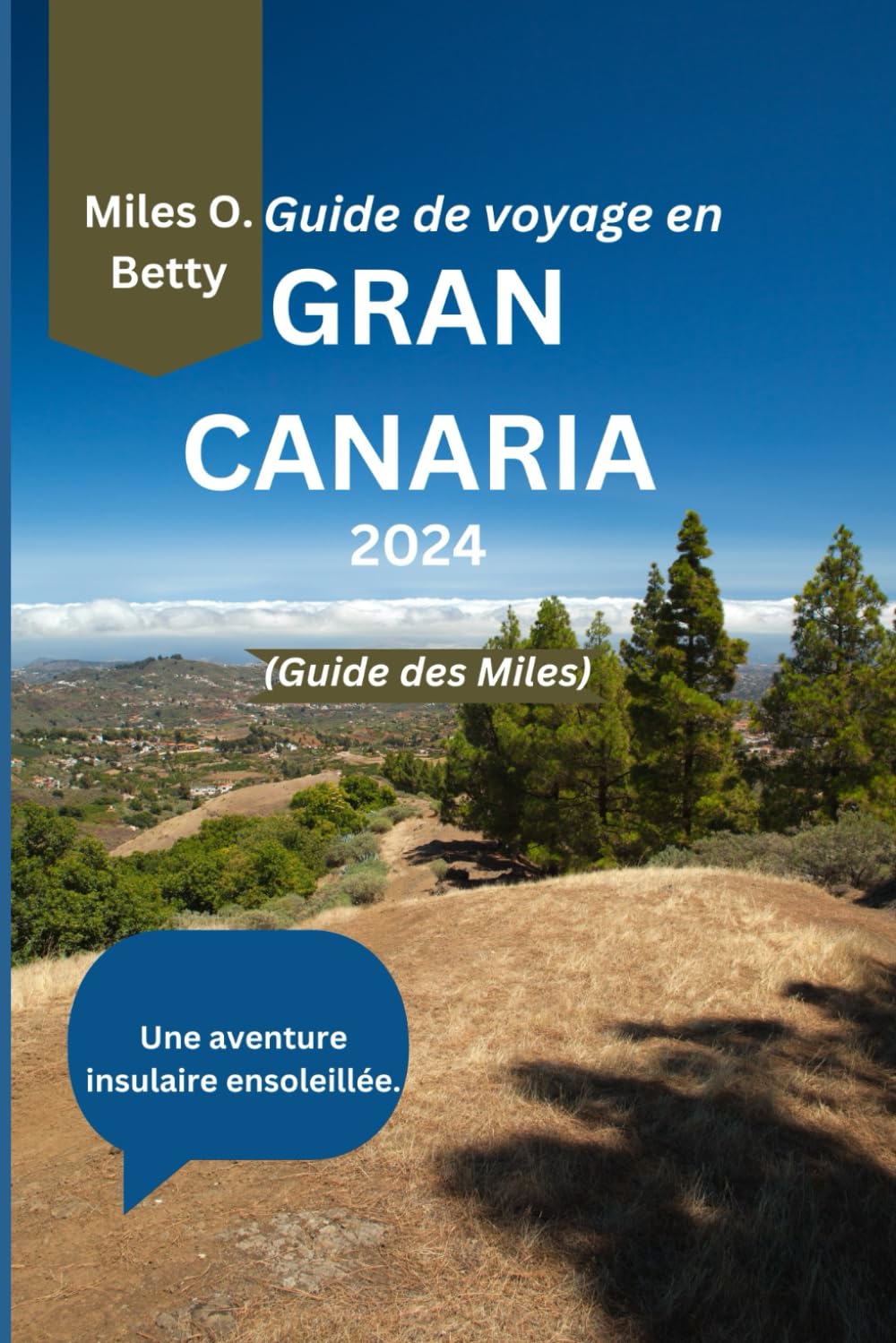 Guide de voyage en Gran Canaria 2024 (Guide des Miles): Une aventure insulaire ensoleillée. book