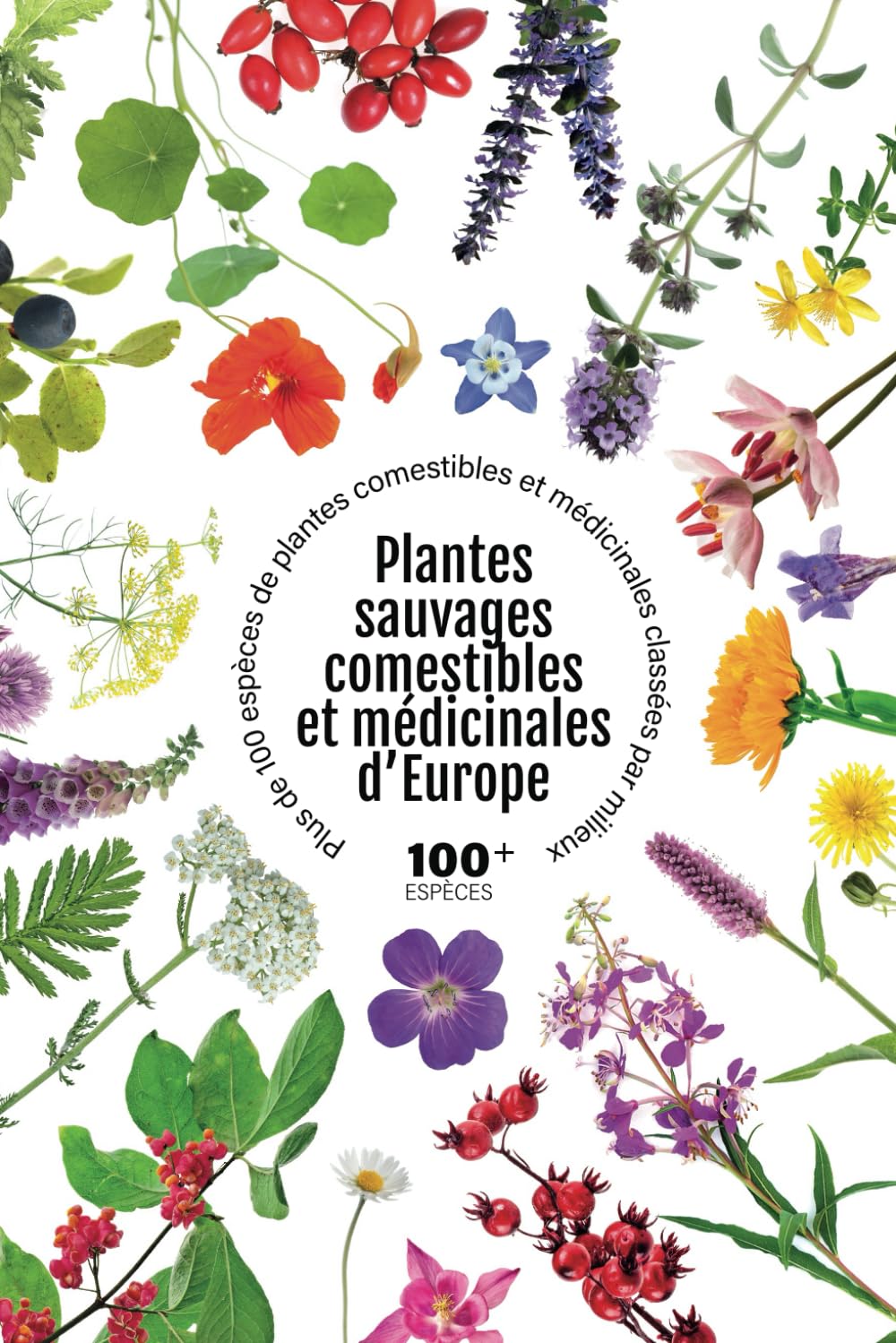 Plantes sauvages comestibles et médicinales d’Europe: Plus de 100 espèces de plantes comestibles et médicinales classées par milieux book