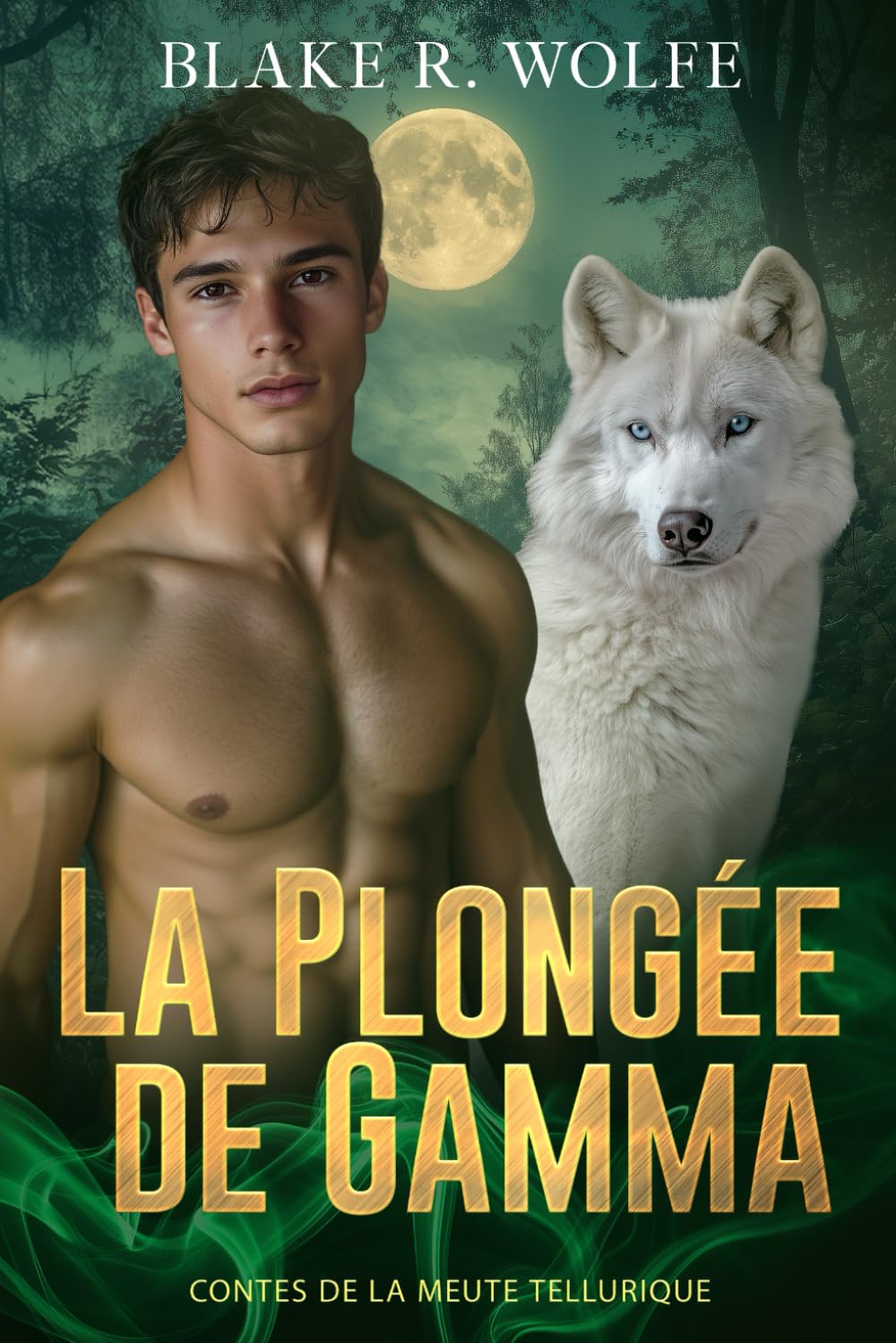La Plongée de Gamma: Romance gay de loup-garou book