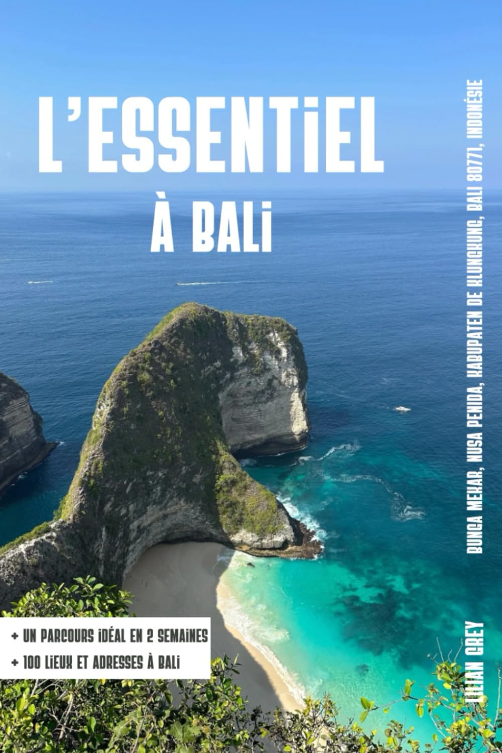 L'essentiel à Bali: Votre guide essentiel pour un séjour à Bali réussi Travelogues