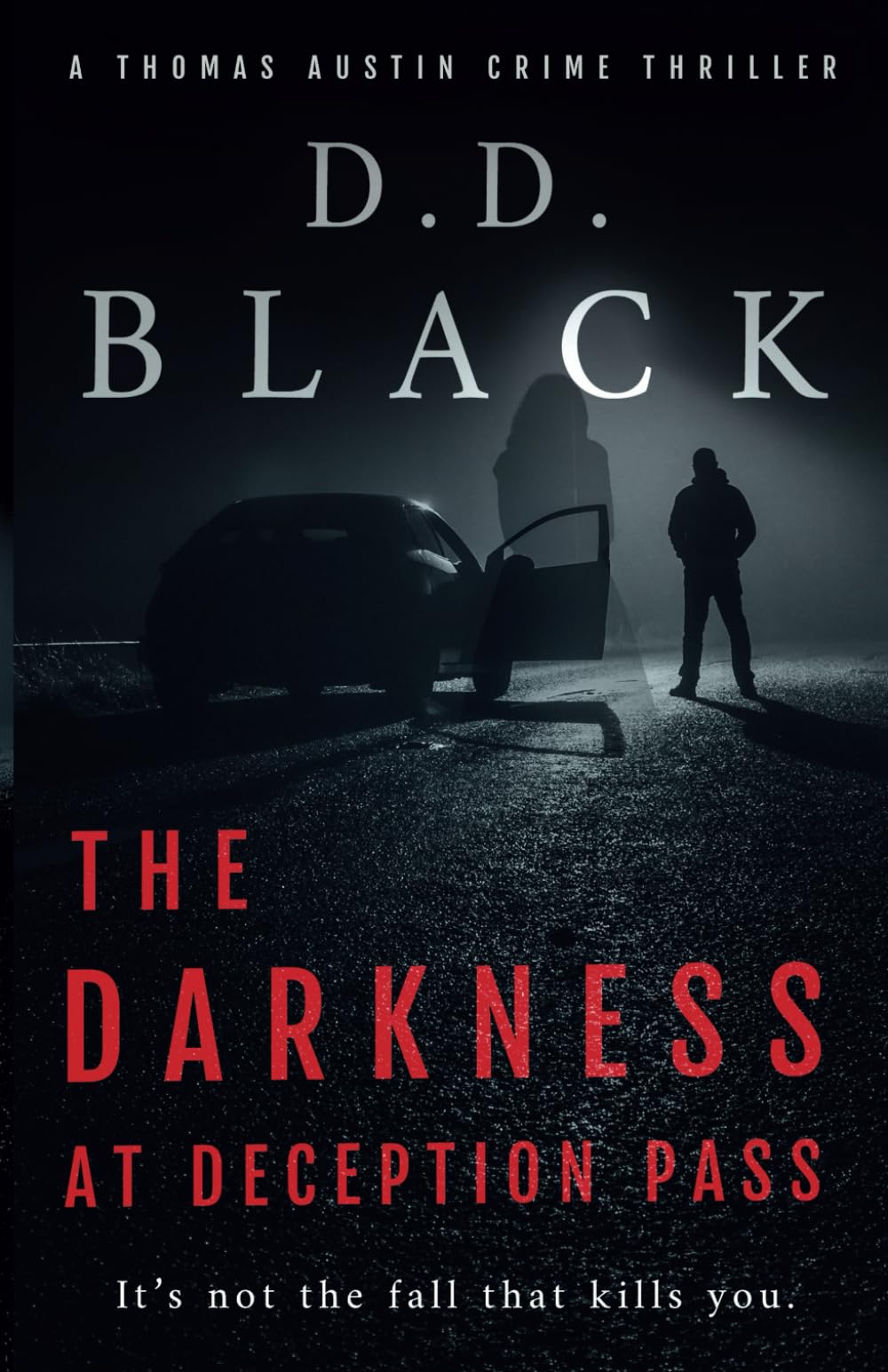 The Darkness at Deception Pass (A Thomas Austin Crime Thriller, Band 9) Contemporary literature