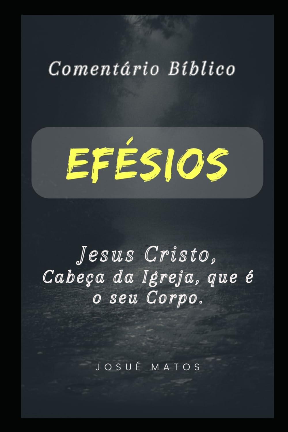 Efésios: Jesus Cristo, Cabeça da Igreja, que é o seu Corpo book