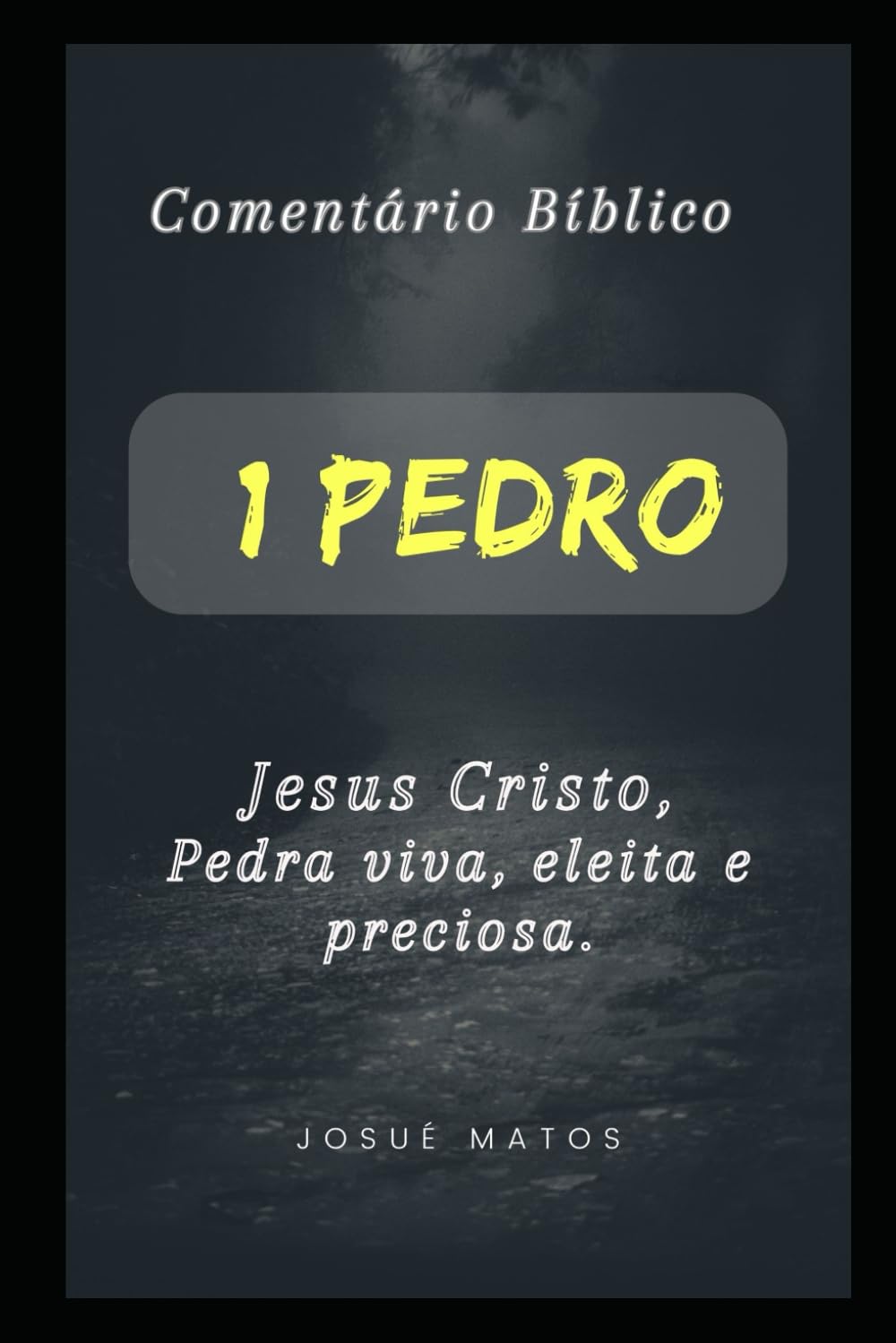 1 Pedro: Jesus Cristo, Pedra viva, eleita e preciosa book