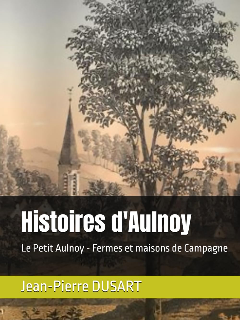 Histoire d'Aulnoy: Le Petit Aulnoy - Fermes et maisons de Campagne book