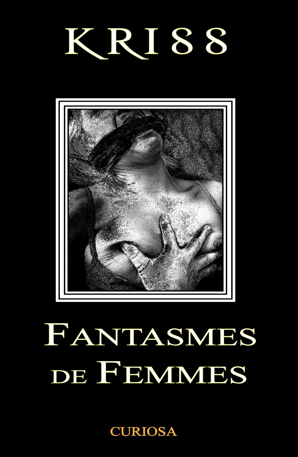 FANTASMES DE FEMMES book