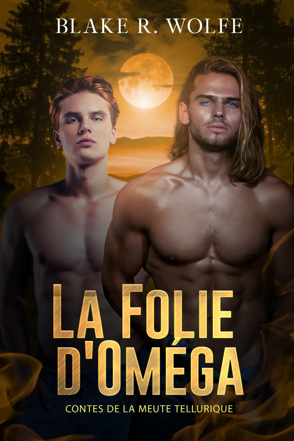 La Folie d'Oméga: Romance gay de loup-garou book