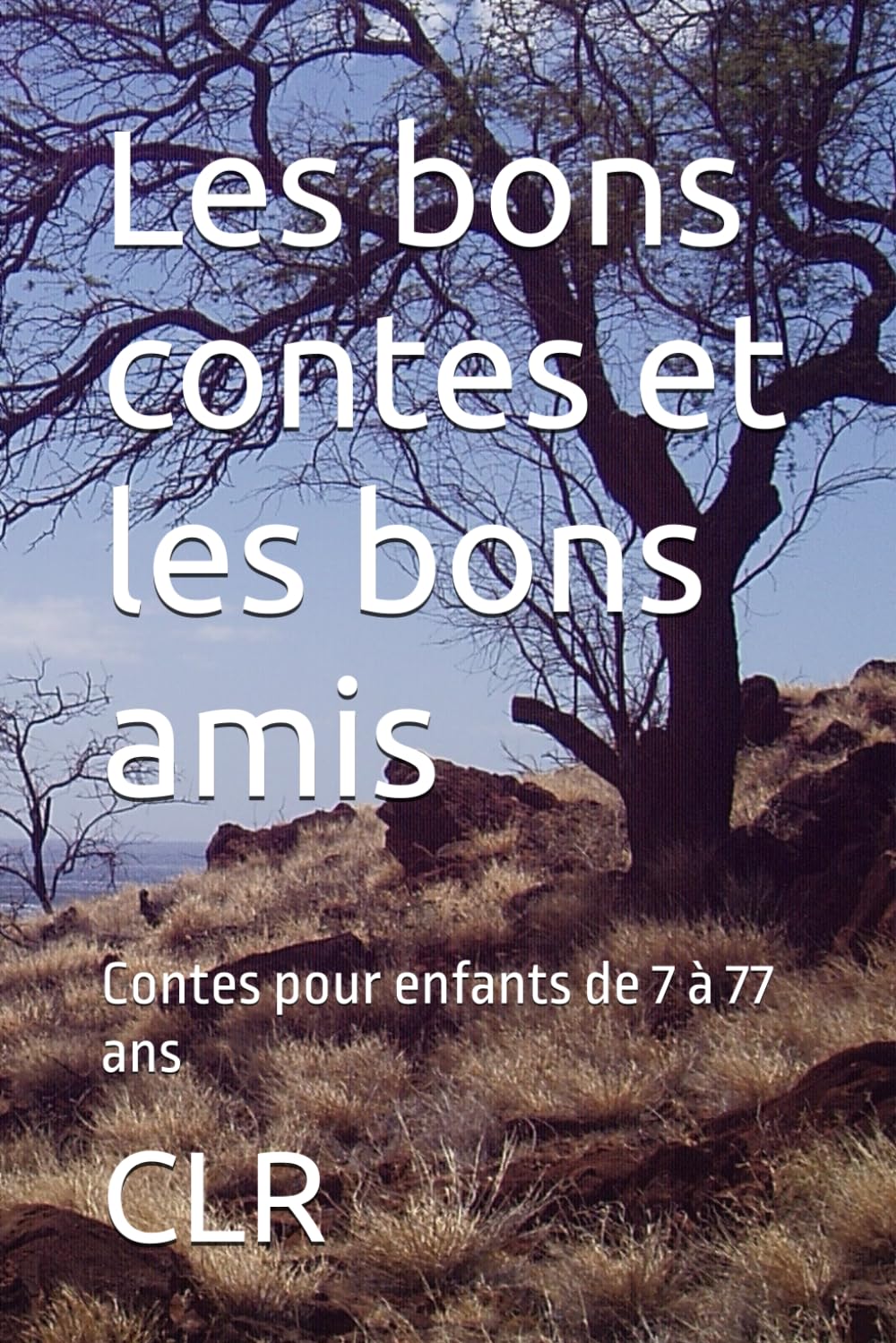 Les bons contes et les bons amis: Contes pour enfants de 7 à 77 ans book