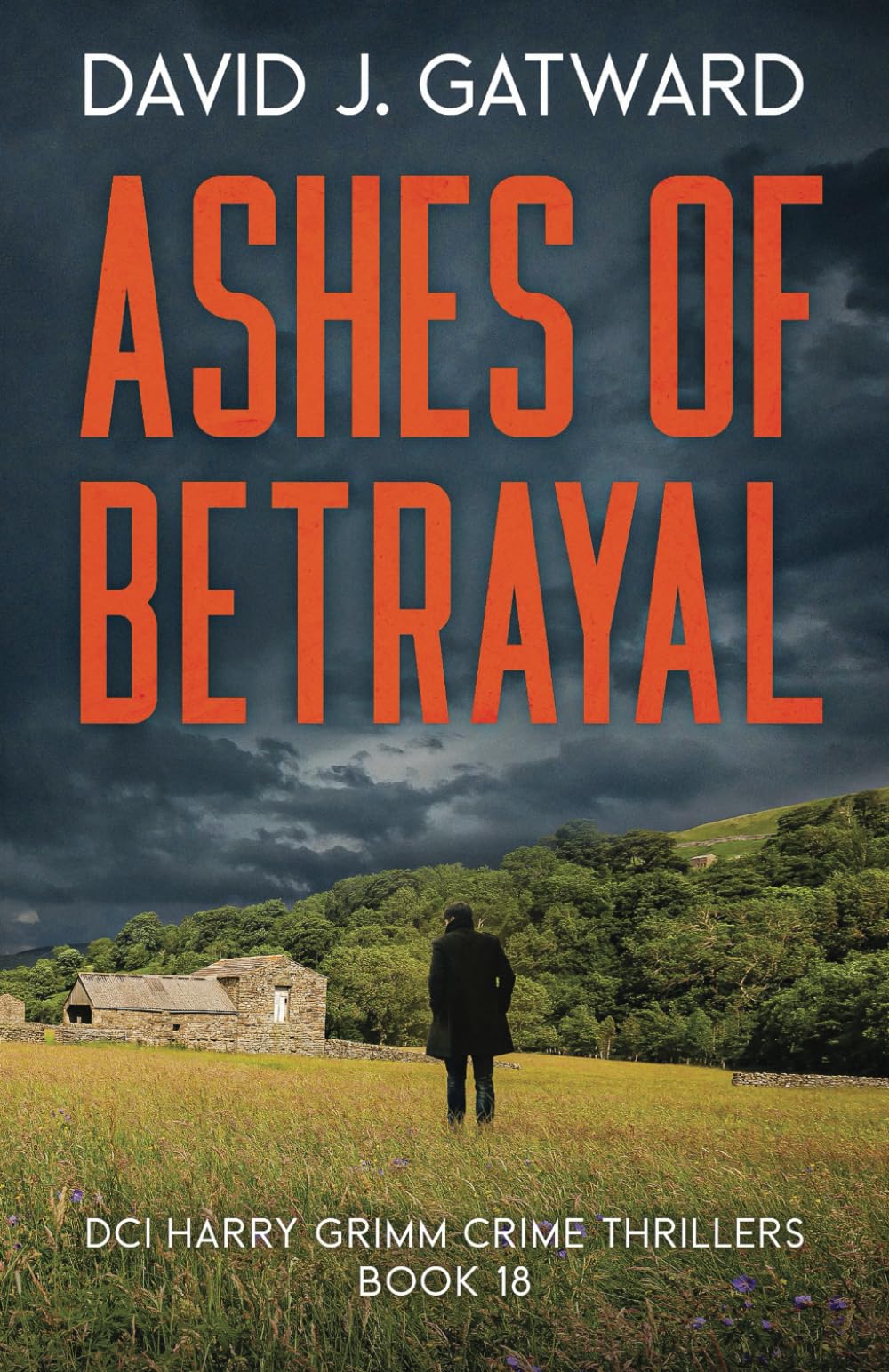 Ashes of Betrayal: A Yorkshire Murder Mystery (DCI Harry Grimm Crime Thrillers, Band 18) Action & Adventure