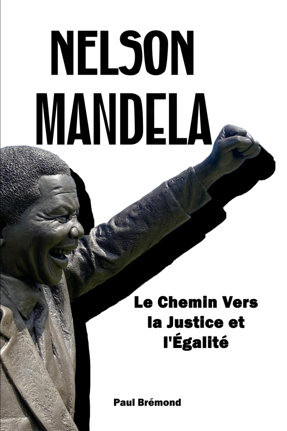 Nelson Mandela: Le Chemin Vers la Justice et l'Égalité book