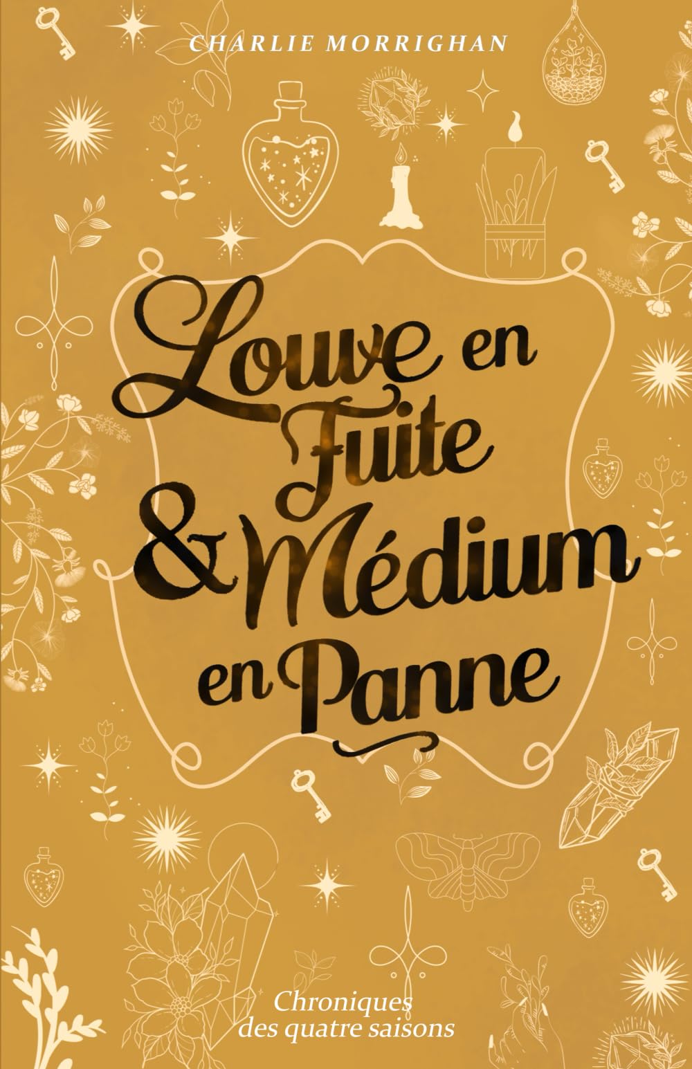 Louve en fuite & Médium en panne: Cosy Fantasy book