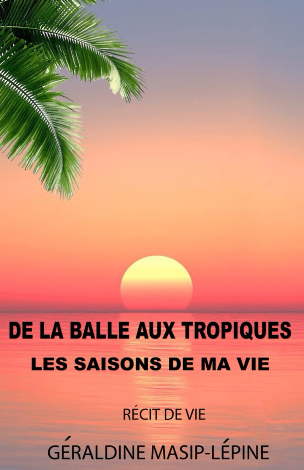 DE LA BALLE AUX TROPIQUES: LES SAISONS DE MA VIE book