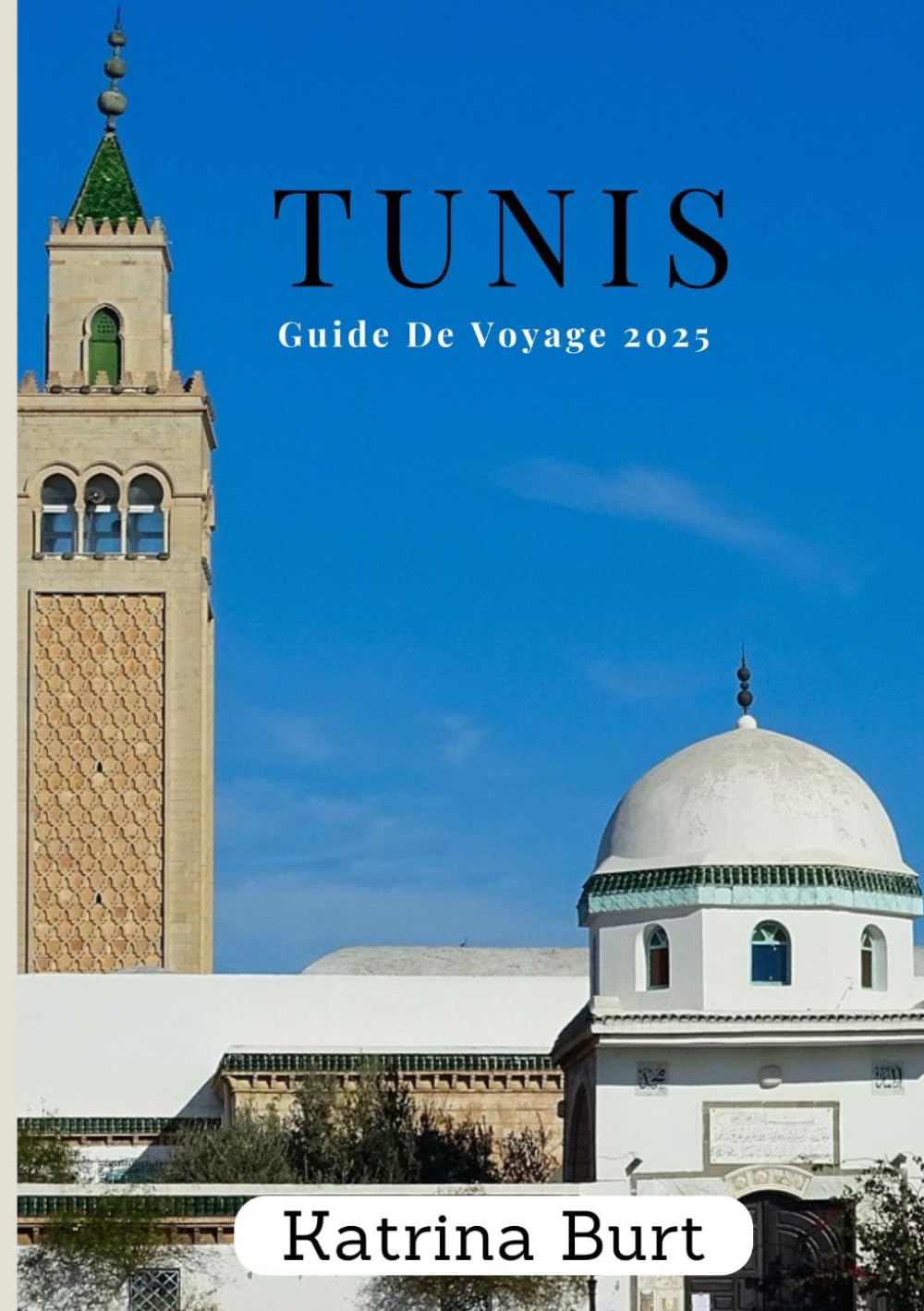TUNIS GUIDE DE VOYAGE 2025: Vade Mecum dans la capitale tunisienne book