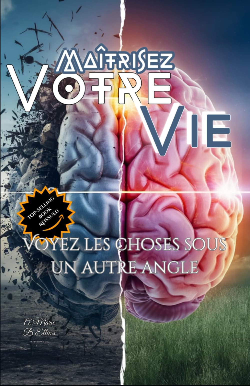 Maîtrisez Votre Vie: La Pensée Positive pour un Succès et un Bien-Être Optimaux,Développement personnel,Pensée positive, Gestion stress,Santé mentale, ... saines, Équilibre travail-vie ,Gestion temps book