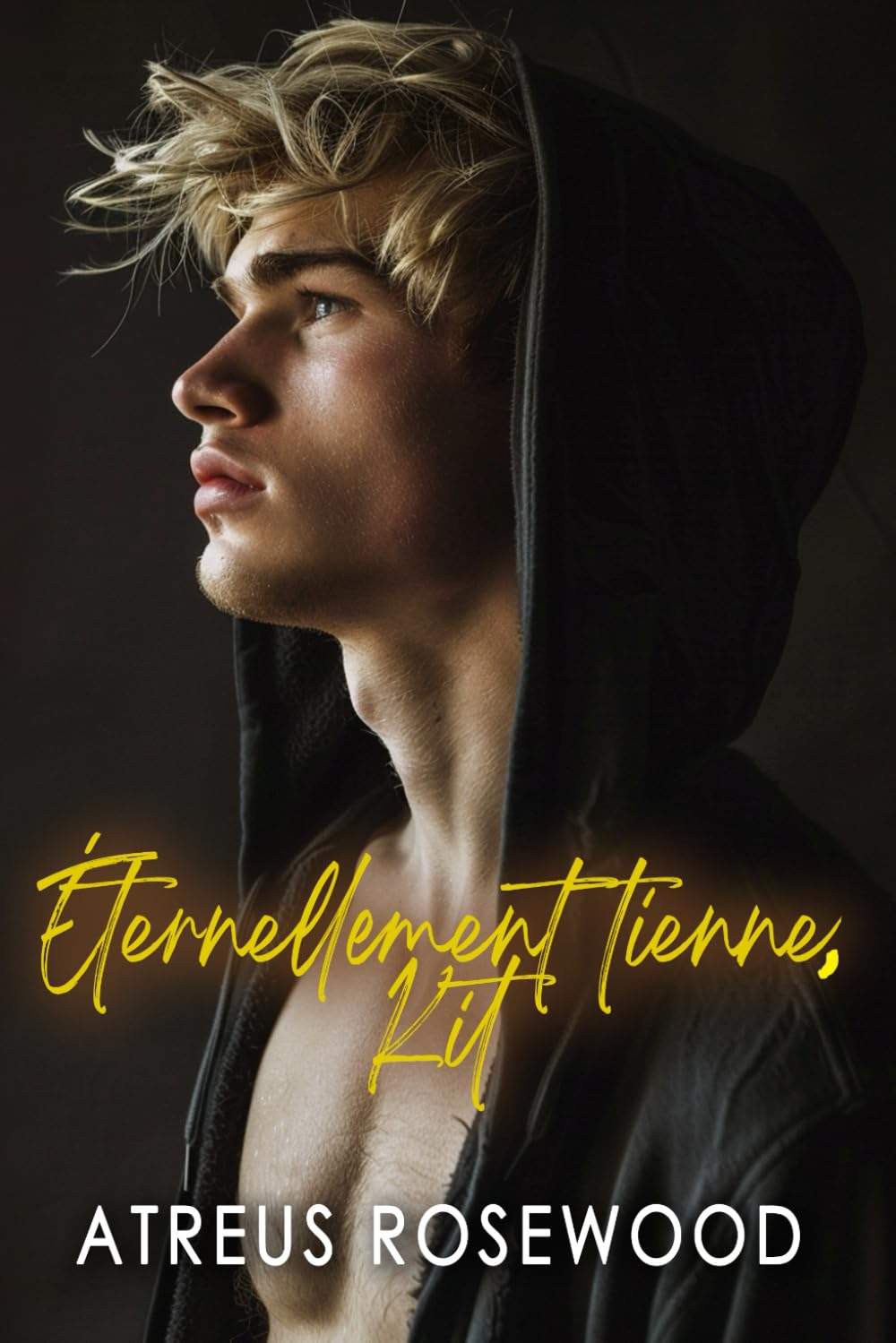 Éternellement tien, Kit: Gay meilleurs amis des amoureux Romance book
