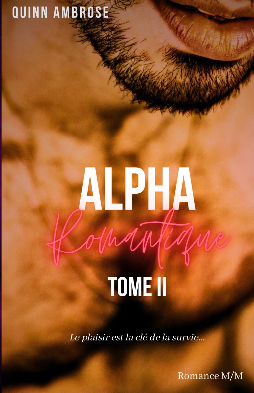 Alpha Romantique - Tome 2: (Romance M/M) book
