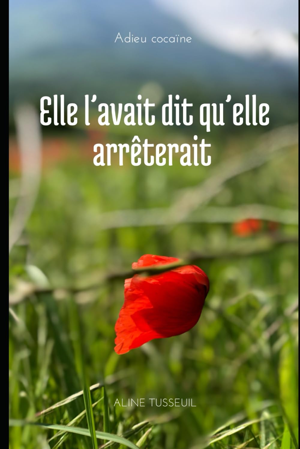 Elle l'avait dit qu'elle arrêterait: Adieu cocaïne book
