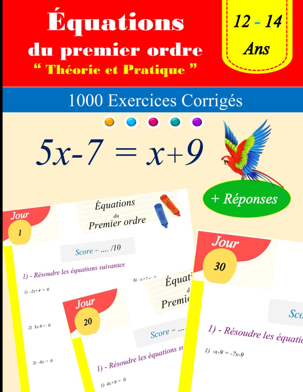 Introduction aux équations du premier ordre : théorie et pratique: 1000 Exercices Corrigés - Ages : 12 - 14 book