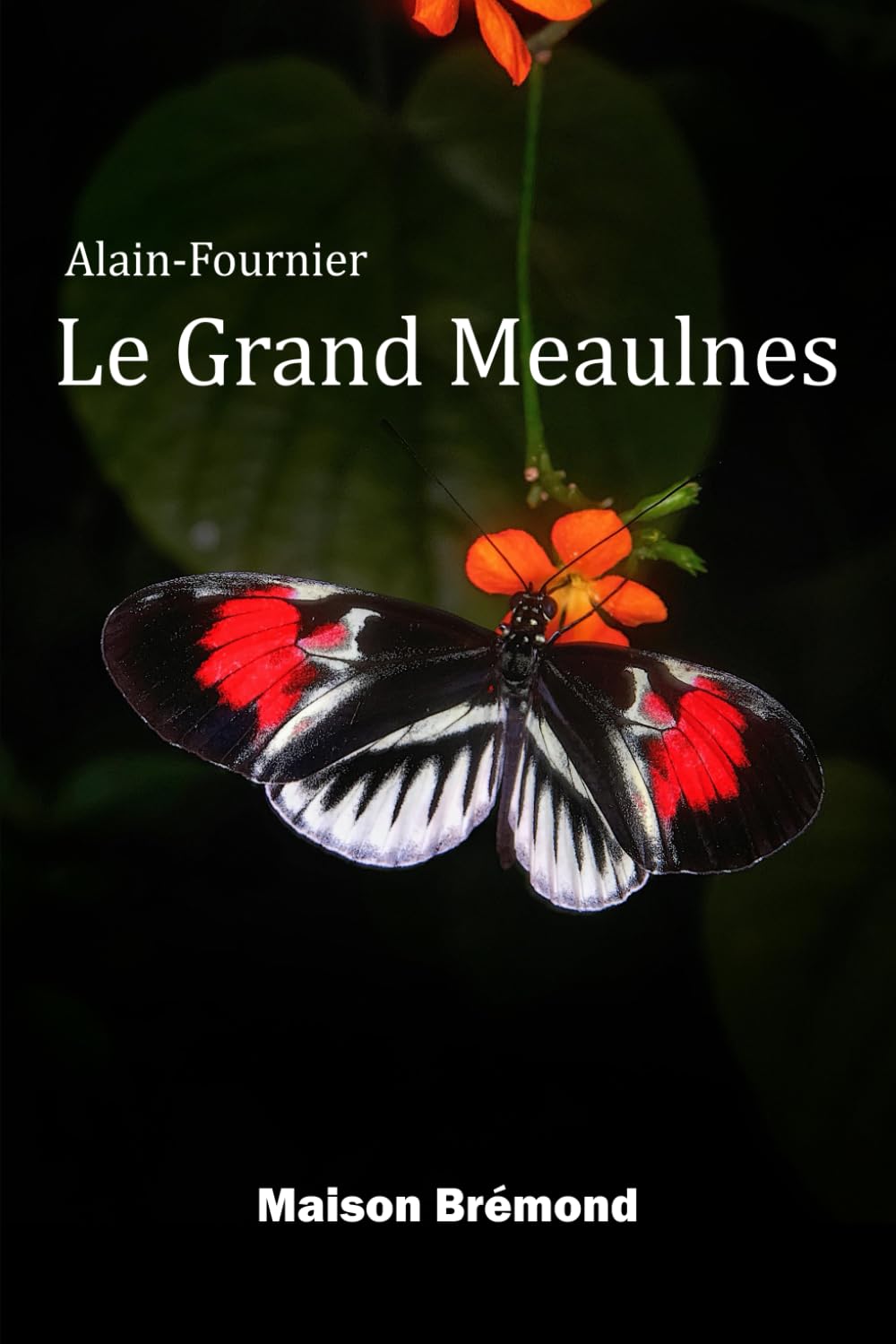 Le Grand Meaulnes (Illustré) book