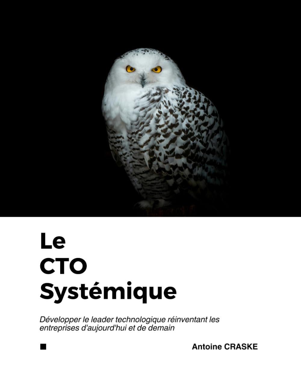 Le CTO Systémique: Développer le leader technologique réinventant les entreprises d'aujourd'hui et de demain book