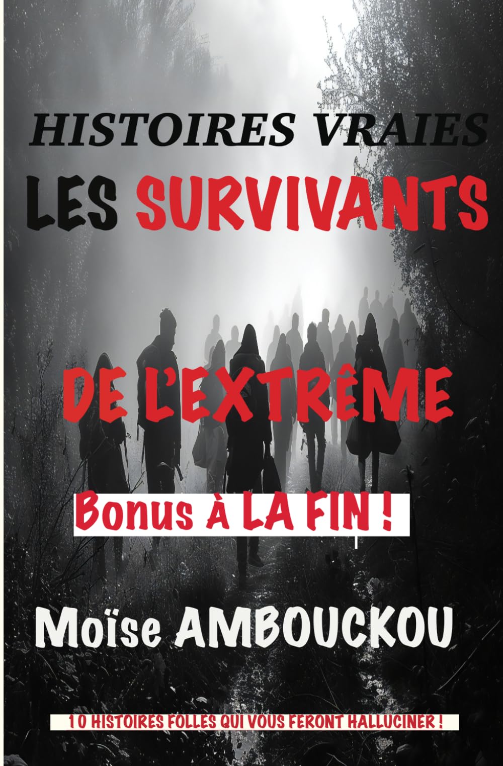 Histoires vraies : les survivants de l'extrême: 10 histoires folles qui vous feront halluciner ! book