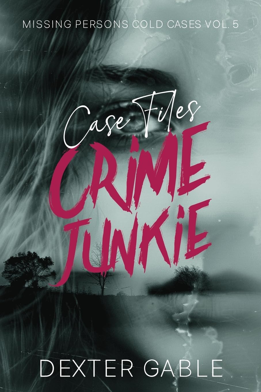 Crime Junkie Case Files: Missing Persons Cold Cases Vol. 5, True Crime Investigations of People Who Mysteriously Disappeared Politics & Society
