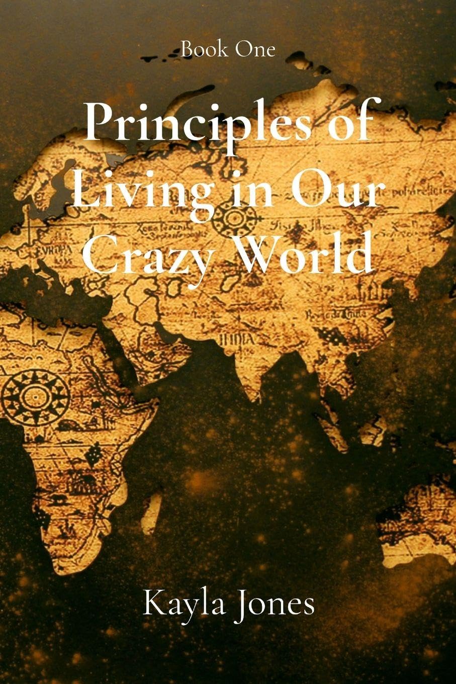 Principles of Living in Our Crazy World Young adult books