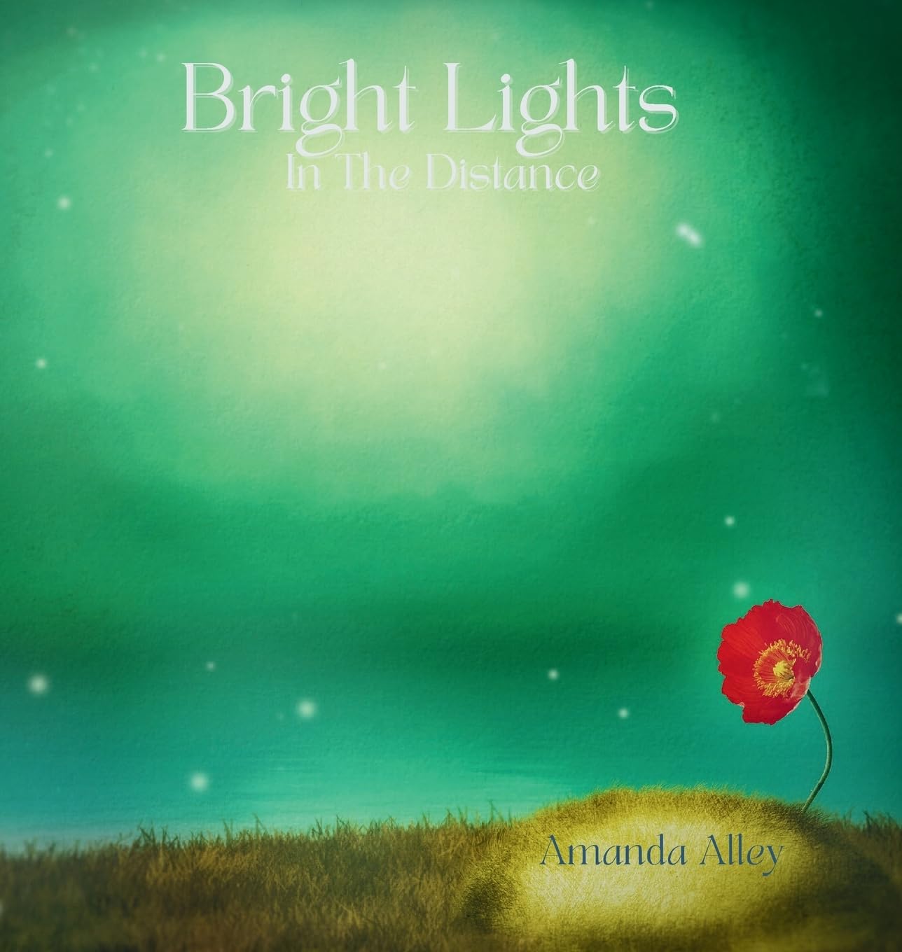 Bright Lights In The Distance Non-fiction