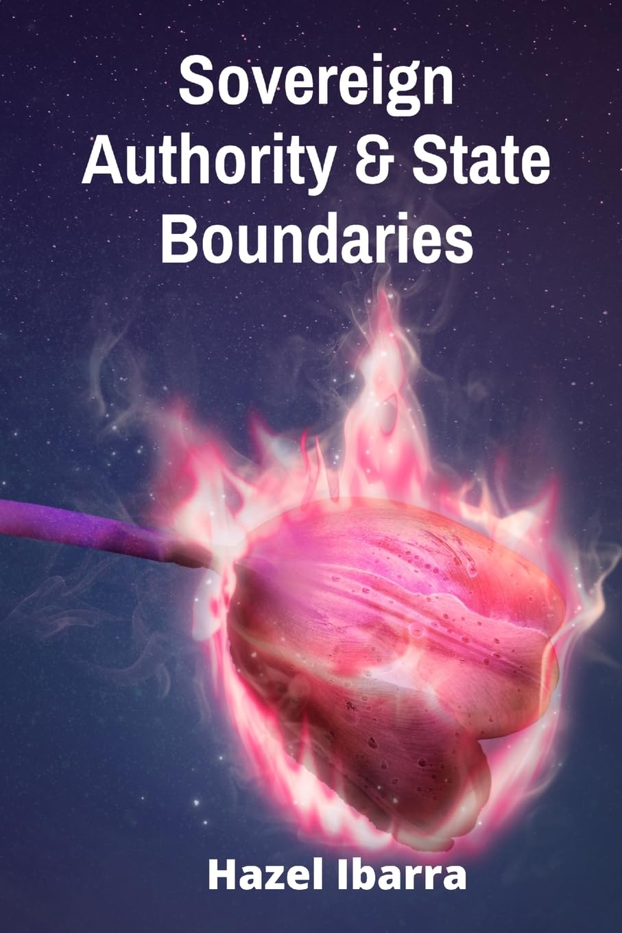 Sovereign Authority & State Boundaries Law