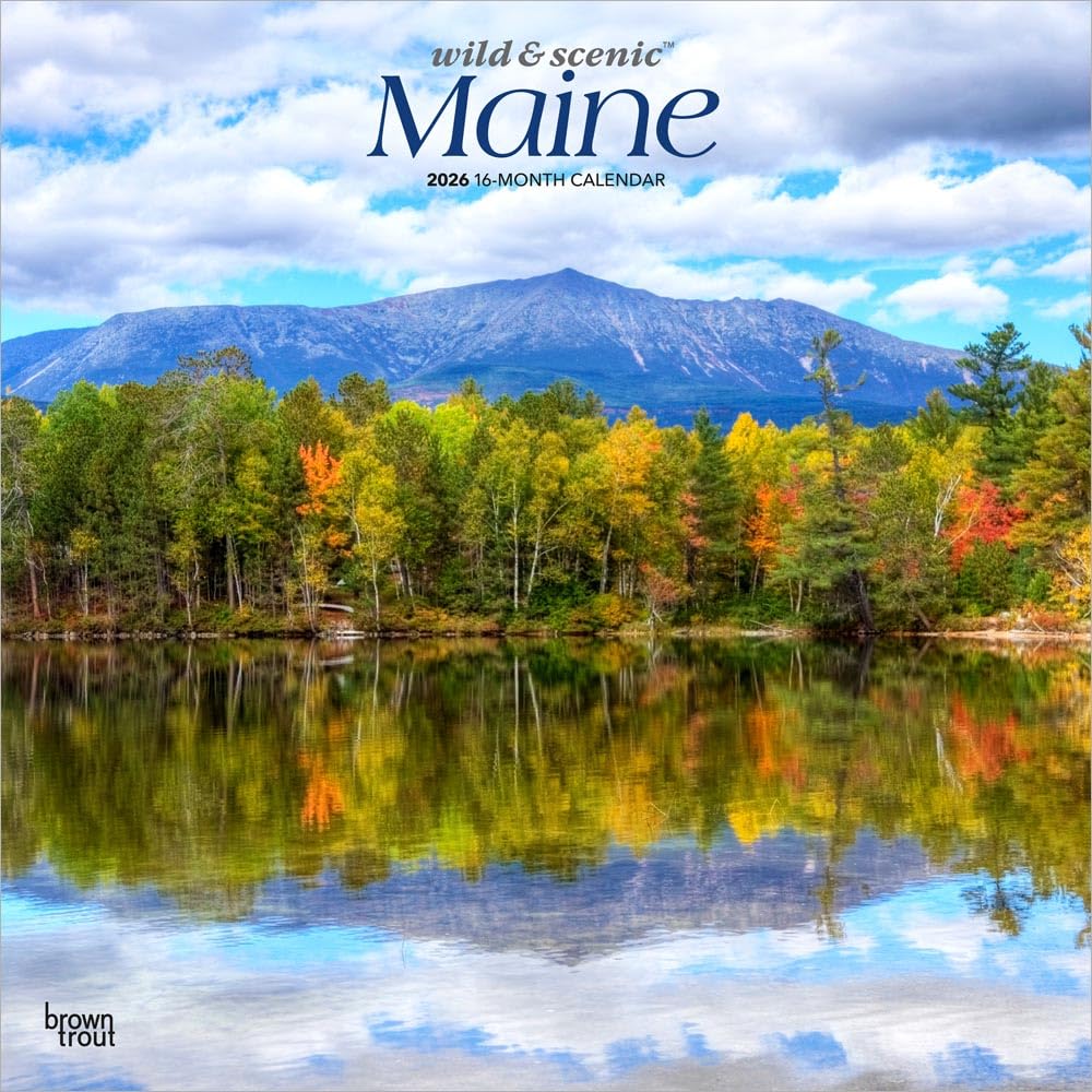 Maine Wild & Scenic 2026 12 X 24 Inch (Hanging) Monthly Square Wall Calendar Plastic-Free Books