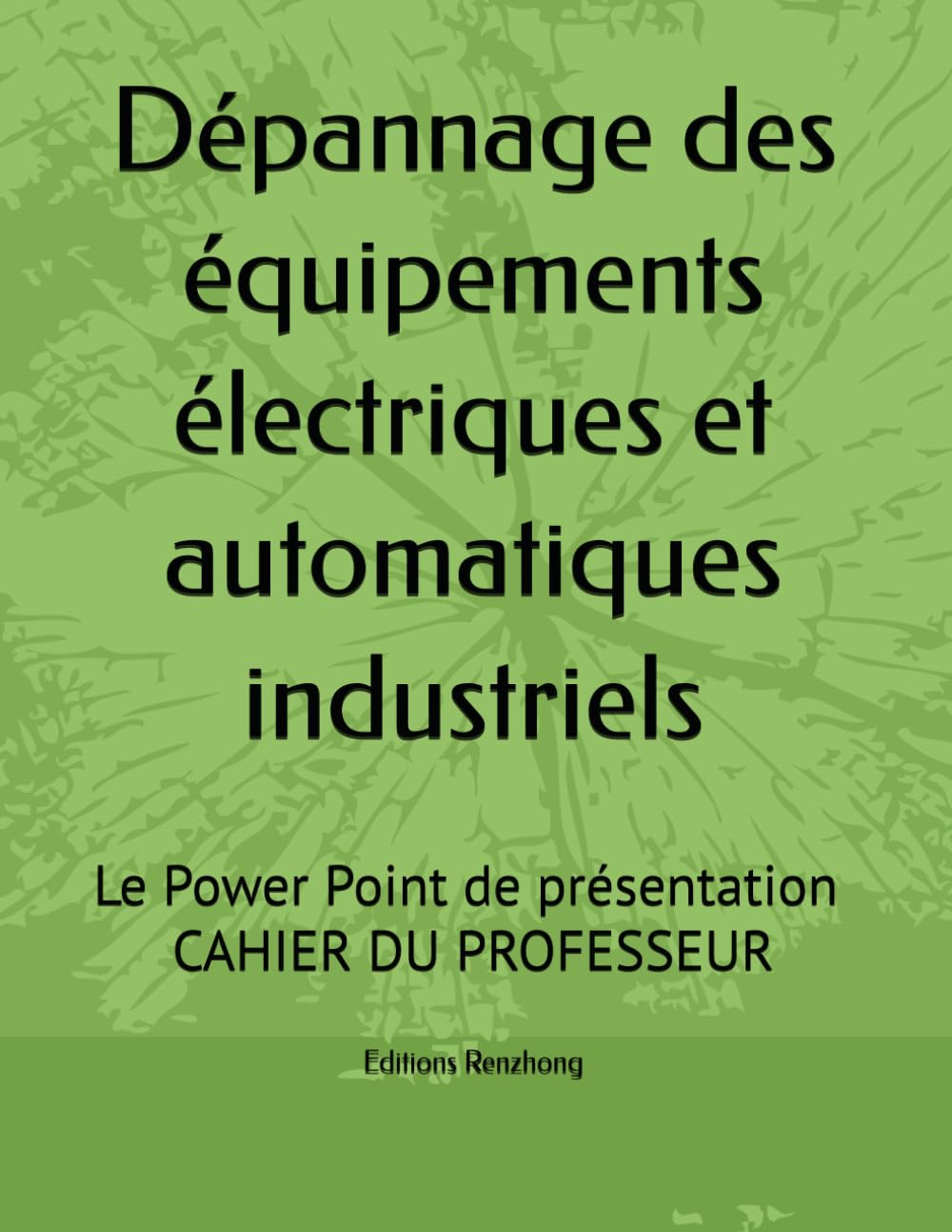 Dépannage des équipements électriques et automatiques industriels: Le Power Point de présentation / LE CAHIER DU PROFESSEUR book