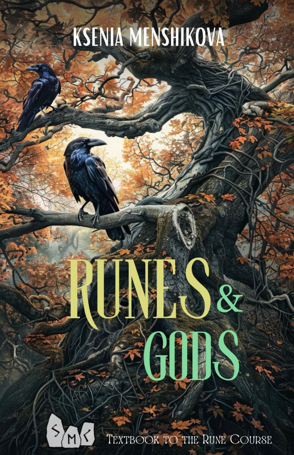 RUNES AND GODS (Rune Department Series, Band 2) Religion & Esotericism