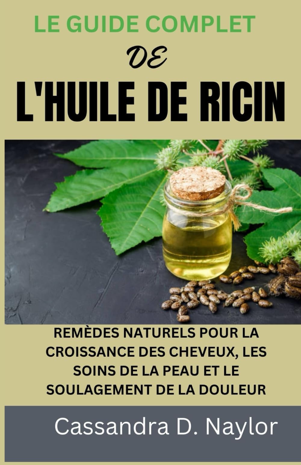 LE GUIDE COMPLET DE L'HUILE DE RICIN: REMÈDES NATURELS POUR LA CROISSANCE DES CHEVEUX, LES SOINS DE LA PEAU ET LE SOULAGEMENT DE LA DOULEUR book