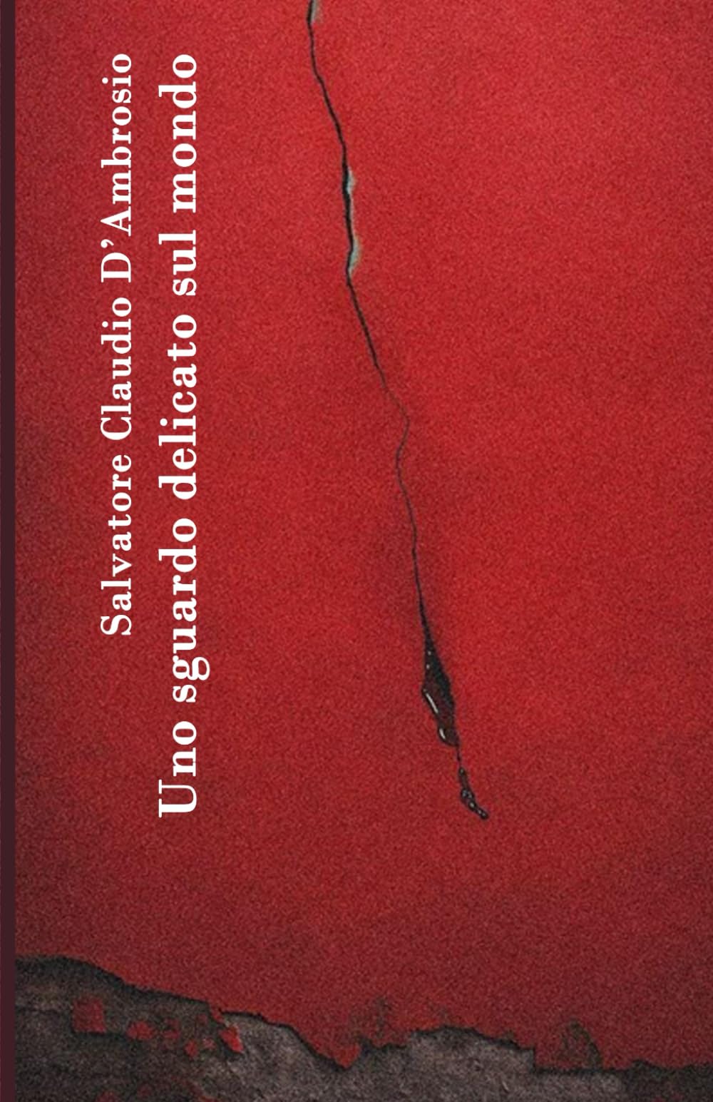 Uno sguardo delicato sul mondo Contemporary literature
