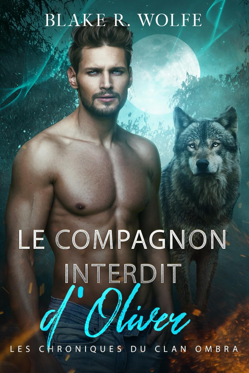 Le Compagnon Interdit d'Oliver: Romance gay de loup-garou avec des compagnons interdits book