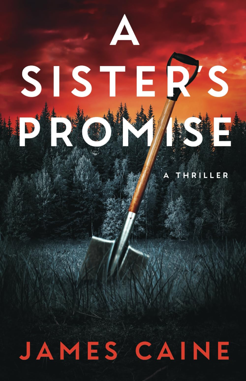 A Sister's Promise: A Thriller Contemporary literature