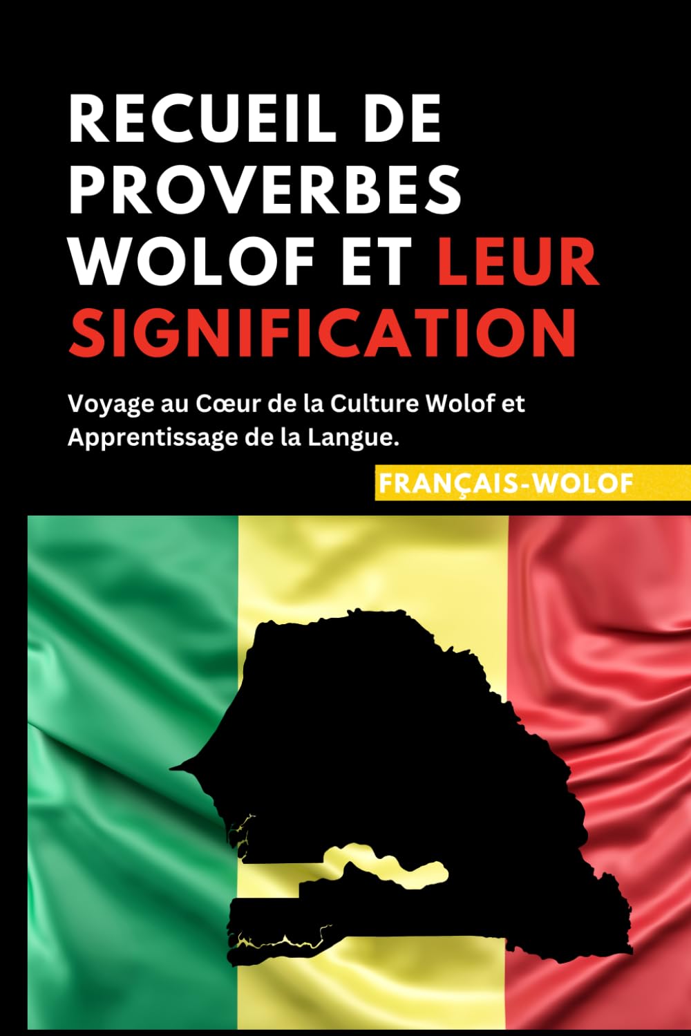 Recueil de Proverbes Wolof et leur signification: Voyage au Cœur de la Culture Wolof et Apprentissage de la Langue / apprendre wolof / français-wolof book