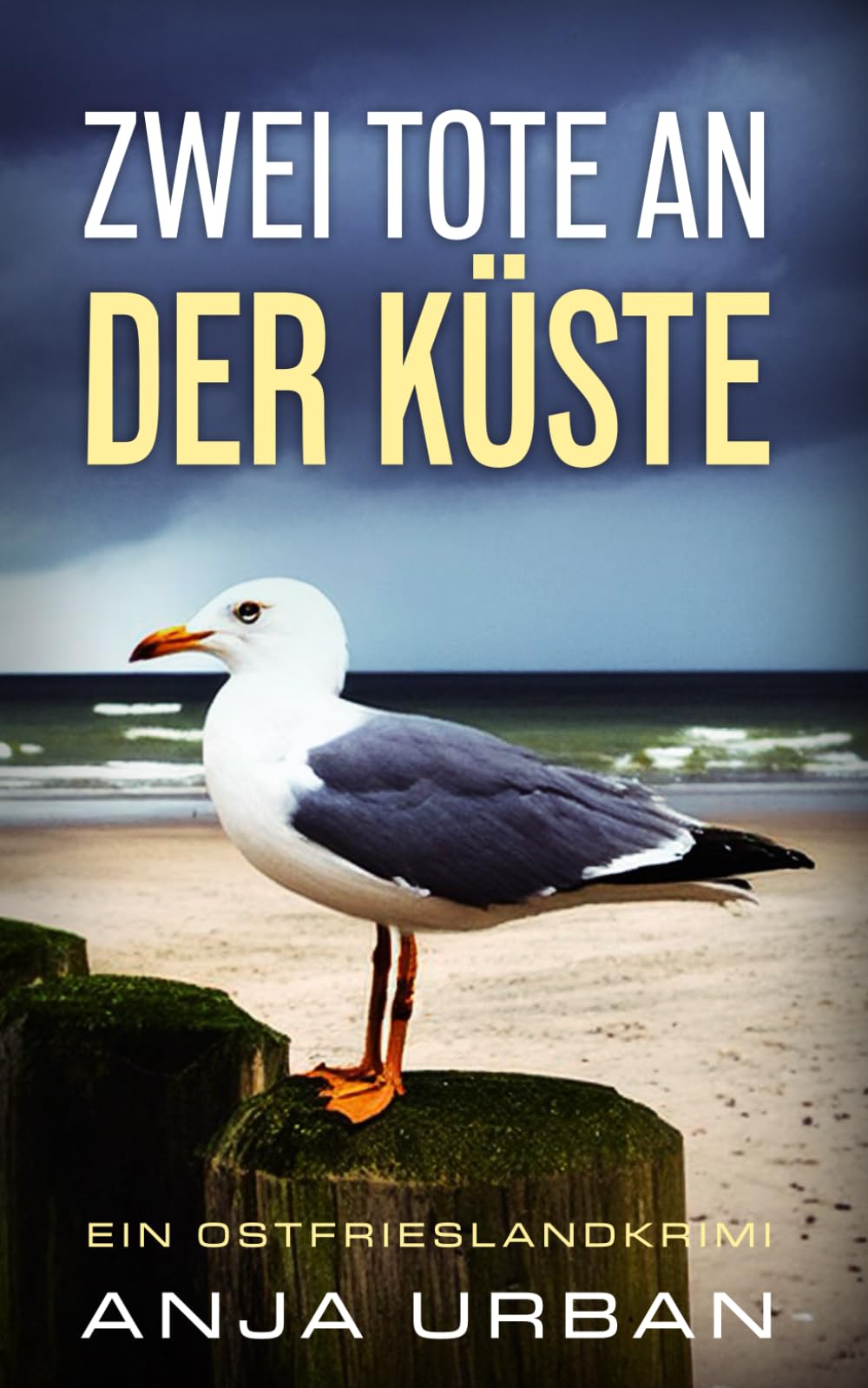 Zwei Tote an der Küste: Ein Ostfrieslandkrimi (Stein und Martens ermitteln in Ostfriesland, Band 6) Detective & CSI