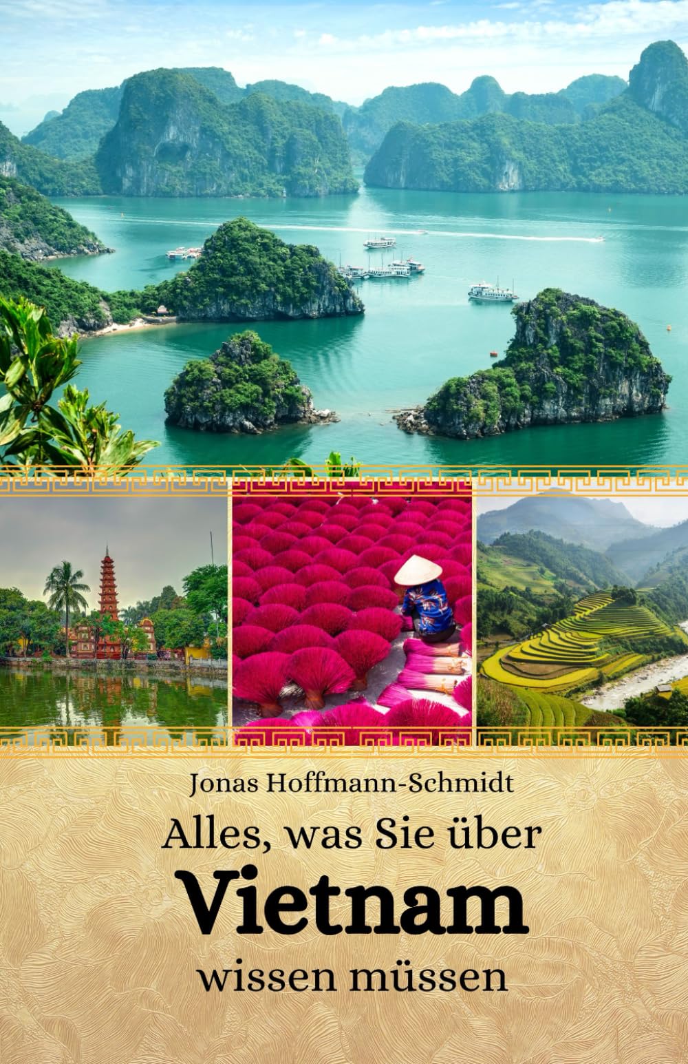 Alles, was Sie über Vietnam wissen müssen Learning & Reference