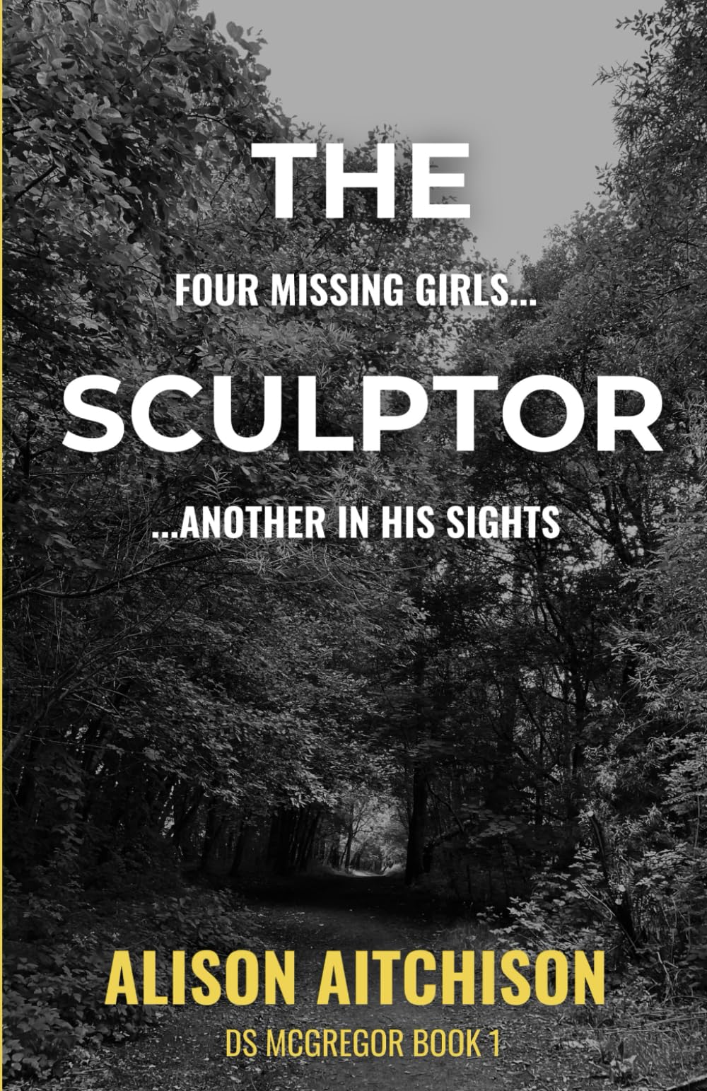 The Sculptor: DS McGregor Book 1 (DS McGregor Mysteries, Band 1) Detective & CSI