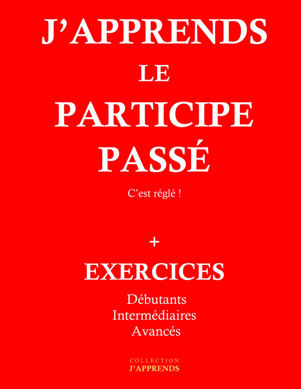 J'apprends le participe passé. Débutant Intermédiaire Avancé book