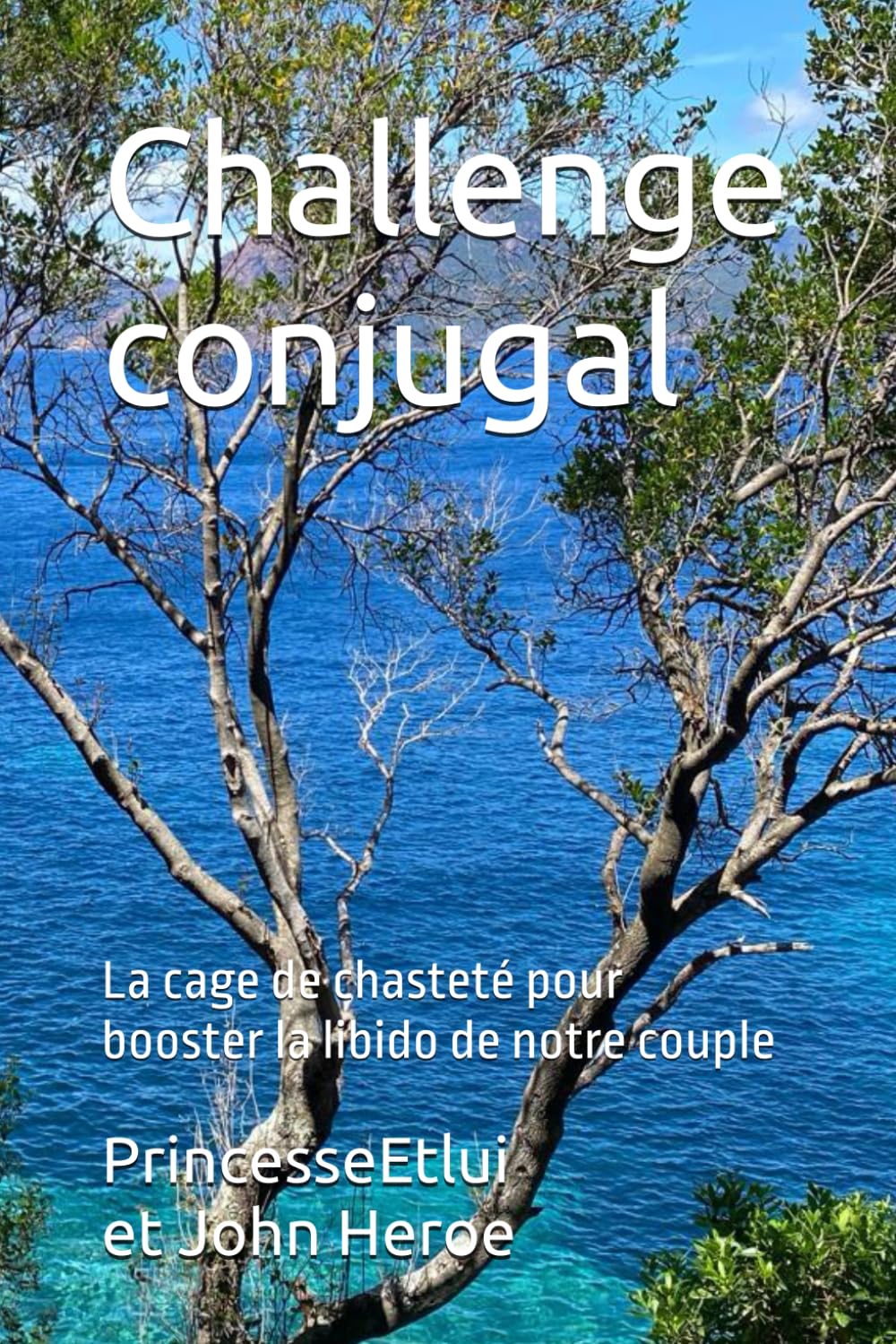 Challenge conjugal: La cage de chasteté pour booster la libido de notre couple book