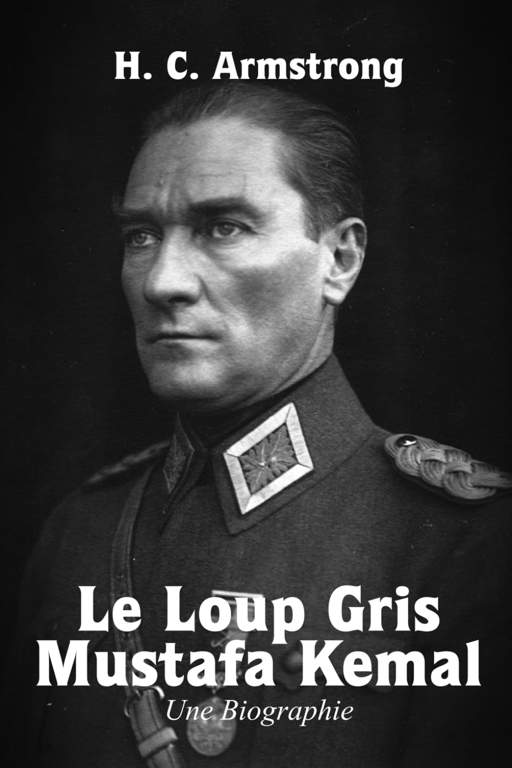 Le Loup gris – Mustafa Kemal: Une Biographie book