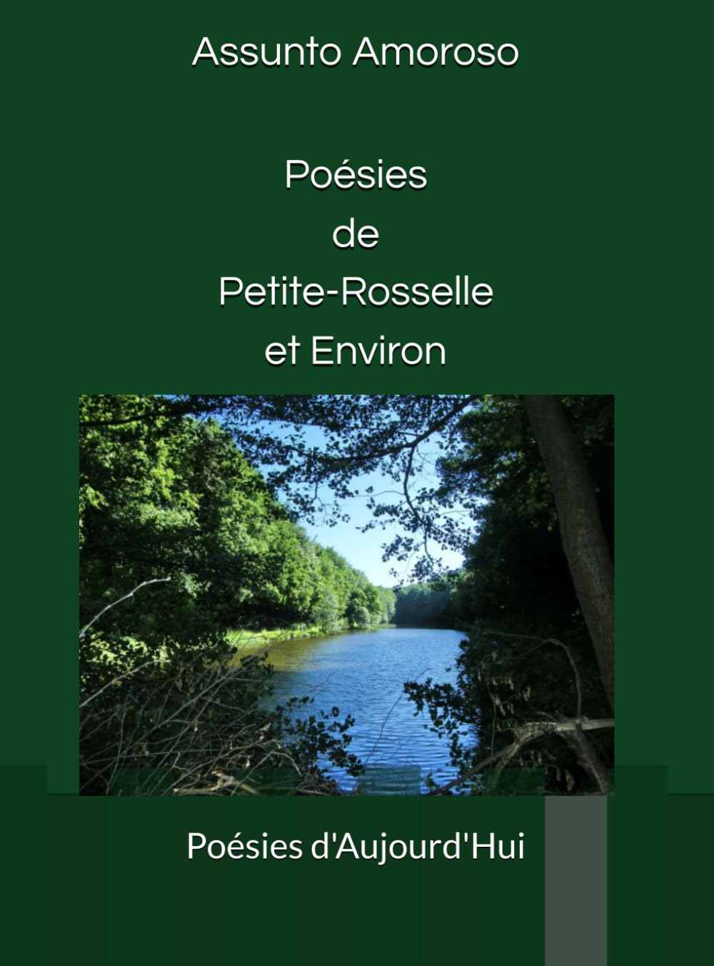 Poésies de Petite-Rosselle et Environ: Poétiquement vôtre book