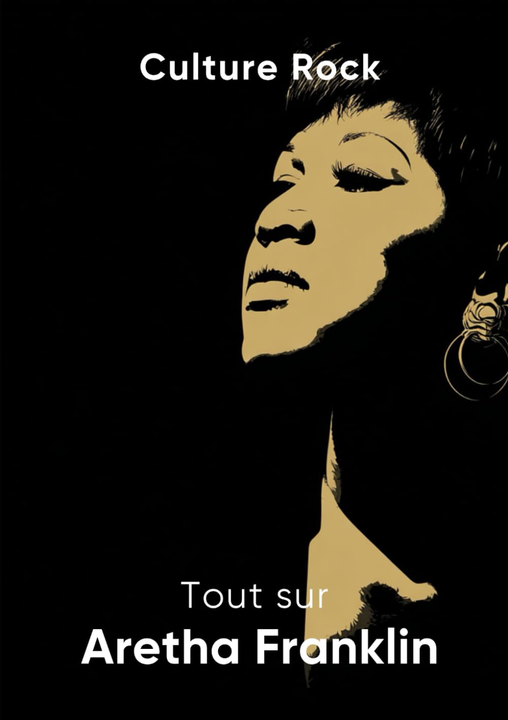 Tout sur Aretha Franklin book