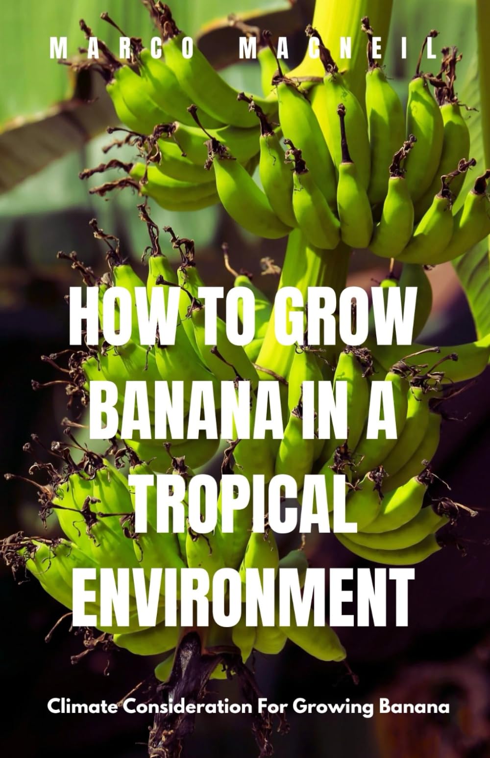 How To Grow Banana In A Tropical Environment: Climate Consideration For Growing Banana Garden & Plants
